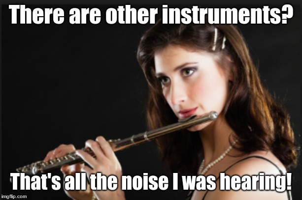 Confused Flutist | There are other instruments? That's all the noise I was hearing! | image tagged in music | made w/ Imgflip meme maker