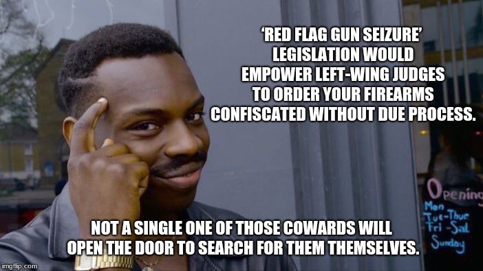 The title of judge is no longer one worthy of respect | ‘RED FLAG GUN SEIZURE’ LEGISLATION WOULD EMPOWER LEFT-WING JUDGES TO ORDER YOUR FIREARMS CONFISCATED WITHOUT DUE PROCESS. NOT A SINGLE ONE OF THOSE COWARDS WILL OPEN THE DOOR TO SEARCH FOR THEM THEMSELVES. | image tagged in memes,roll safe think about it,actvist judges are cowrads,2nd amendment,never surrender,maga | made w/ Imgflip meme maker