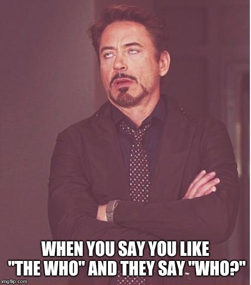 Face You Make Robert Downey Jr | WHEN YOU SAY YOU LIKE "THE WHO" AND THEY SAY "WHO?" | image tagged in memes,face you make robert downey jr | made w/ Imgflip meme maker