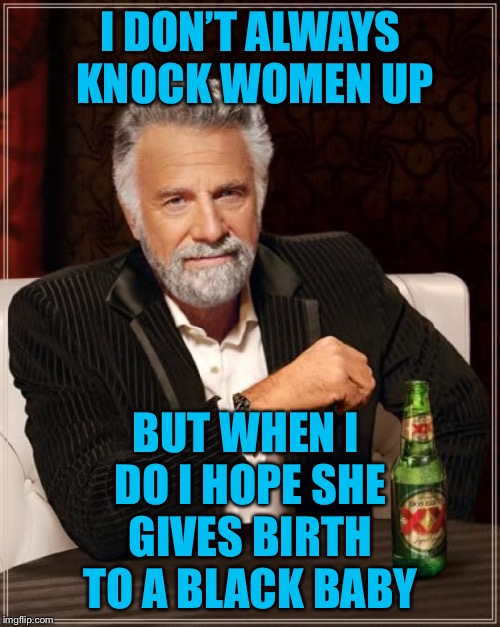 The Most Interesting Man In The World Meme | I DON’T ALWAYS KNOCK WOMEN UP BUT WHEN I DO I HOPE SHE GIVES BIRTH TO A BLACK BABY | image tagged in memes,the most interesting man in the world | made w/ Imgflip meme maker