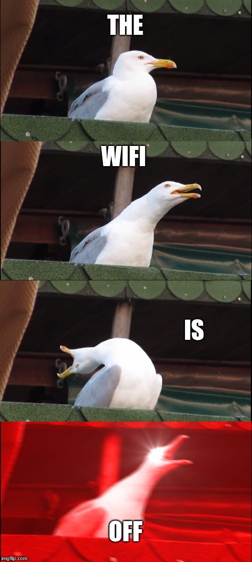Inhaling Seagull | THE; WIFI; IS; OFF | image tagged in memes,inhaling seagull | made w/ Imgflip meme maker