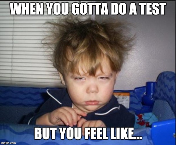 Tired child | WHEN YOU GOTTA DO A TEST; BUT YOU FEEL LIKE... | image tagged in tired child | made w/ Imgflip meme maker