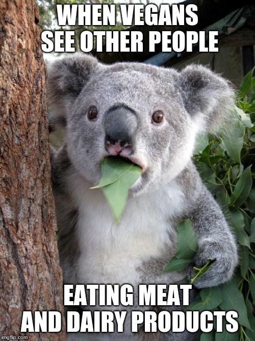 Surprised Koala | WHEN VEGANS SEE OTHER PEOPLE; EATING MEAT AND DAIRY PRODUCTS | image tagged in memes,surprised koala | made w/ Imgflip meme maker