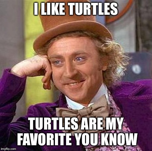 Creepy Condescending Wonka | I LIKE TURTLES; TURTLES ARE MY FAVORITE YOU KNOW | image tagged in memes,creepy condescending wonka | made w/ Imgflip meme maker