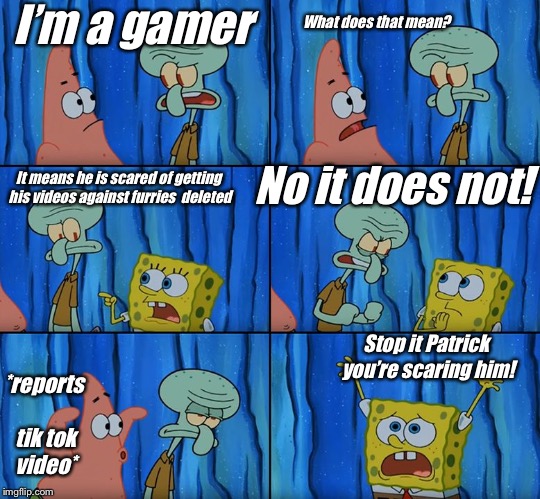 Stop it, Patrick! You're Scaring Him! | I’m a gamer; What does that mean? No it does not! It means he is scared of getting his videos against furries  deleted; Stop it Patrick you’re scaring him! *reports tik tok video* | image tagged in stop it patrick you're scaring him | made w/ Imgflip meme maker