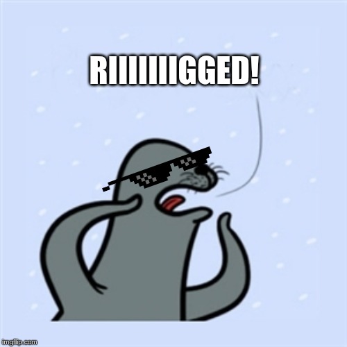 gay seal | RIIIIIIIGGED! | image tagged in gay seal | made w/ Imgflip meme maker