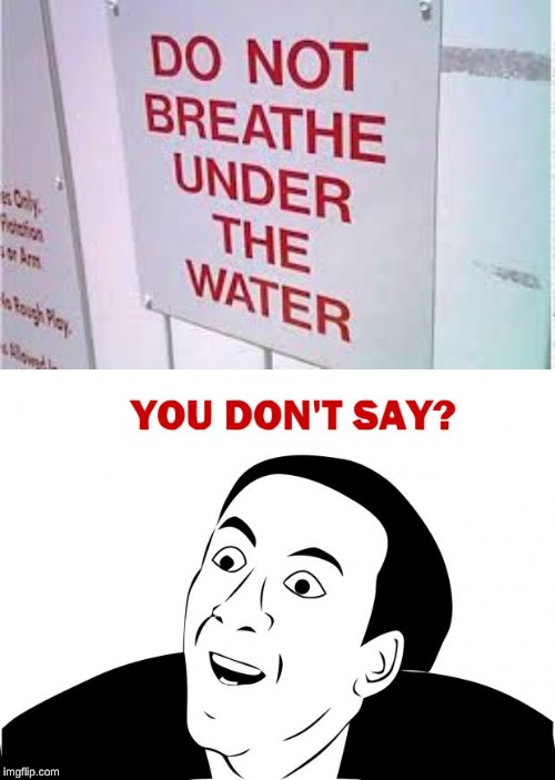 image tagged in memes,you don't say | made w/ Imgflip meme maker