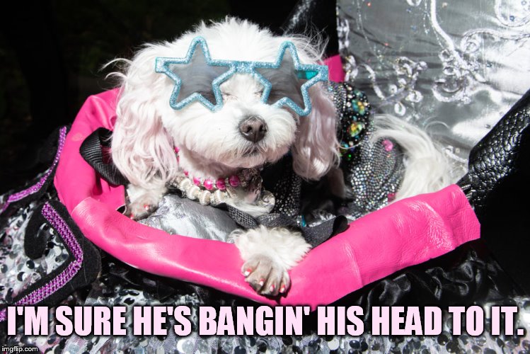 I'M SURE HE'S BANGIN' HIS HEAD TO IT. | made w/ Imgflip meme maker