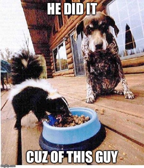 Skunk eats dog's food | HE DID IT CUZ OF THIS GUY | image tagged in skunk eats dog's food | made w/ Imgflip meme maker