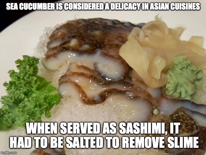 Sea Cucumber Sashimi | SEA CUCUMBER IS CONSIDERED A DELICACY IN ASIAN CUISINES; WHEN SERVED AS SASHIMI, IT HAD TO BE SALTED TO REMOVE SLIME | image tagged in sashimi,food,sea cucumber,memes | made w/ Imgflip meme maker