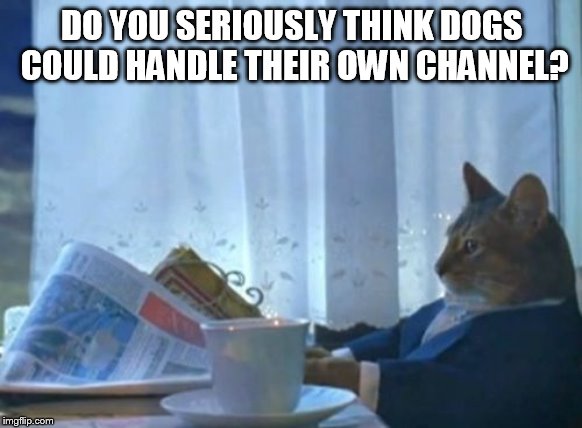 I Should Buy A Boat Cat | DO YOU SERIOUSLY THINK DOGS COULD HANDLE THEIR OWN CHANNEL? | image tagged in memes,i should buy a boat cat | made w/ Imgflip meme maker