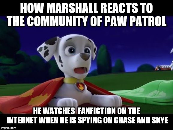 Marshalls fanfic problem | HOW MARSHALL REACTS TO THE COMMUNITY OF PAW PATROL; HE WATCHES  FANFICTION ON THE INTERNET WHEN HE IS SPYING ON CHASE AND SKYE | image tagged in cartoon,paw patrol | made w/ Imgflip meme maker