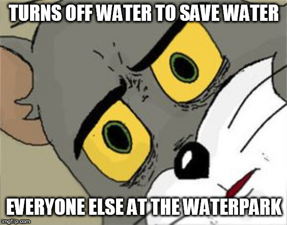 Unsettled Tom Meme | TURNS OFF WATER TO SAVE WATER; EVERYONE ELSE AT THE WATERPARK | image tagged in unsettled tom | made w/ Imgflip meme maker