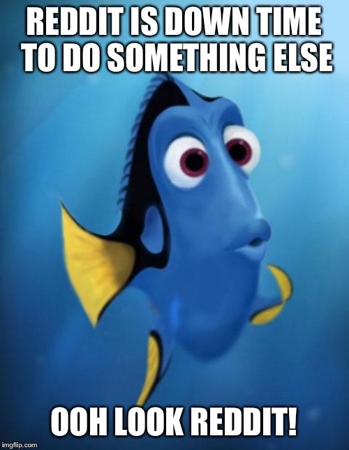 Dory | REDDIT IS DOWN TIME TO DO SOMETHING ELSE; OOH LOOK REDDIT! | image tagged in dory,AdviceAnimals | made w/ Imgflip meme maker