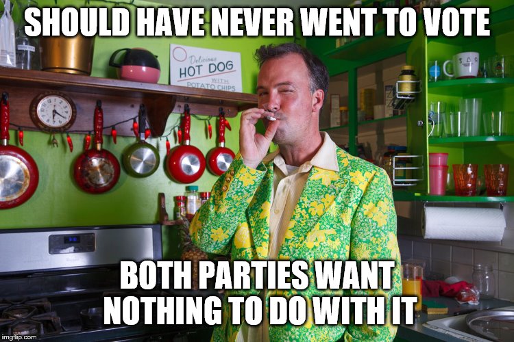 SHOULD HAVE NEVER WENT TO VOTE BOTH PARTIES WANT NOTHING TO DO WITH IT | made w/ Imgflip meme maker