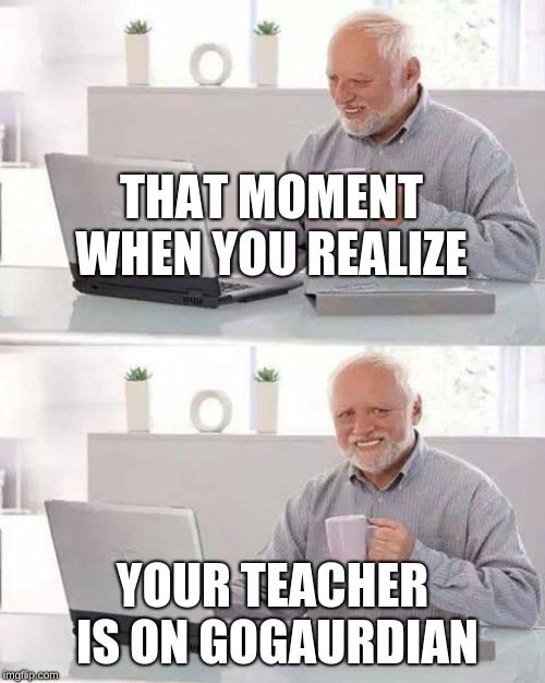 Hide the Pain Harold Meme | THAT MOMENT WHEN YOU REALIZE; YOUR TEACHER IS ON GOGAURDIAN | image tagged in memes,hide the pain harold | made w/ Imgflip meme maker