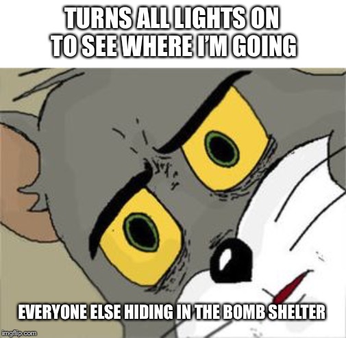 Unsettled Tom | TURNS ALL LIGHTS ON TO SEE WHERE I’M GOING; EVERYONE ELSE HIDING IN THE BOMB SHELTER | image tagged in unsettled tom | made w/ Imgflip meme maker