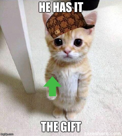 Cute Cat Meme | HE HAS IT; THE GIFT | image tagged in memes,cute cat | made w/ Imgflip meme maker
