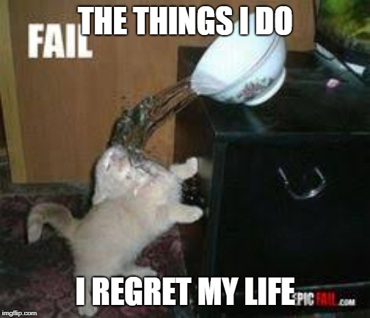 The Things I Do | THE THINGS I DO; I REGRET MY LIFE | image tagged in cat water spill,cat,cat fail | made w/ Imgflip meme maker
