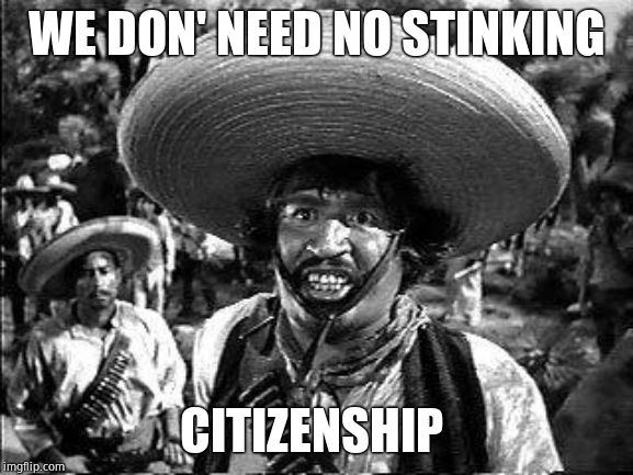 Badges | WE DON' NEED NO STINKING CITIZENSHIP | image tagged in badges | made w/ Imgflip meme maker