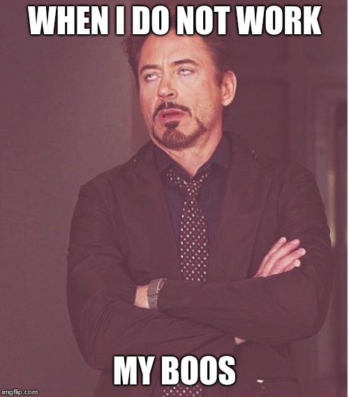 Face You Make Robert Downey Jr Meme | WHEN I DO NOT WORK; MY BOOS | image tagged in memes,face you make robert downey jr | made w/ Imgflip meme maker
