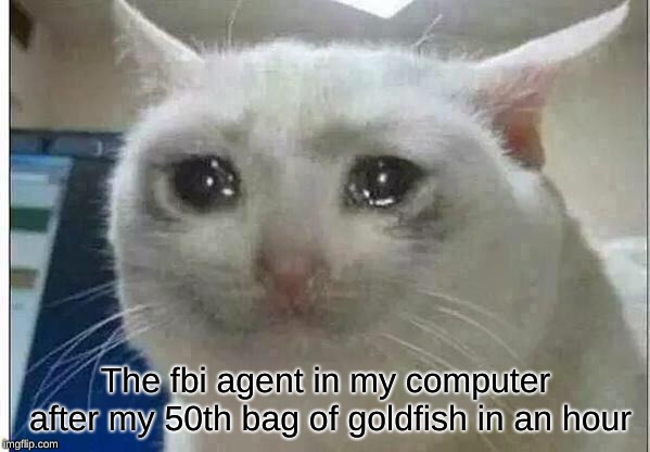 crying cat | The fbi agent in my computer after my 50th bag of goldfish in an hour | image tagged in crying cat | made w/ Imgflip meme maker