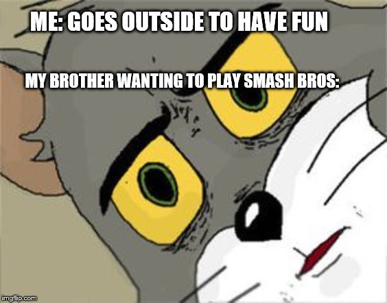 Unsettled Tom | ME: GOES OUTSIDE TO HAVE FUN; MY BROTHER WANTING TO PLAY SMASH BROS: | image tagged in unsettled tom | made w/ Imgflip meme maker
