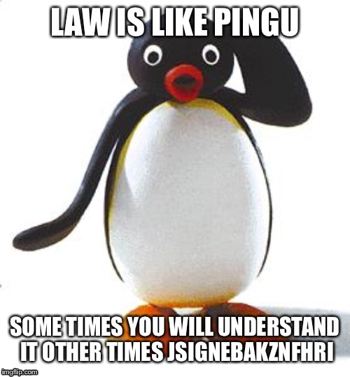 Pingu and law | LAW IS LIKE PINGU; SOME TIMES YOU WILL UNDERSTAND IT OTHER TIMES JSIGNEBAKZNFHRI | image tagged in law,pingu | made w/ Imgflip meme maker