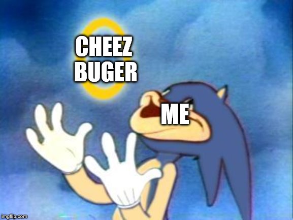 mmmmm cheez buger | CHEEZ BUGER; ME | image tagged in sanic,i can has cheezburger cat | made w/ Imgflip meme maker