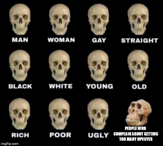 idiot skull | PEOPLE WHO COMPLAIN ABOUT GETTING TOO MANY UPVOYES | image tagged in idiot skull | made w/ Imgflip meme maker