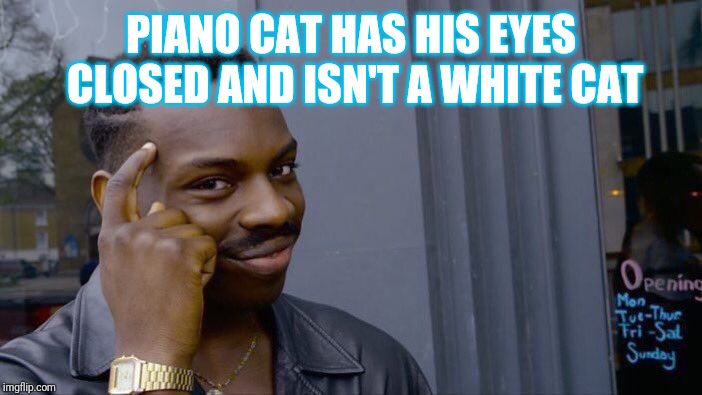 Roll Safe Think About It Meme | PIANO CAT HAS HIS EYES CLOSED AND ISN'T A WHITE CAT | image tagged in memes,roll safe think about it | made w/ Imgflip meme maker