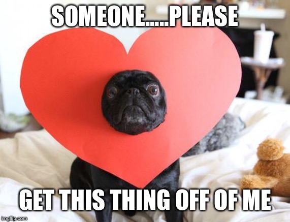 Love pug | SOMEONE.....PLEASE; GET THIS THING OFF OF ME | image tagged in love pug | made w/ Imgflip meme maker