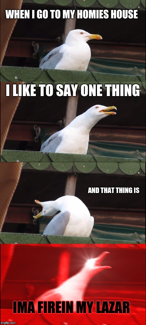 Inhaling Seagull | WHEN I GO TO MY HOMIES HOUSE; I LIKE TO SAY ONE THING; AND THAT THING IS; IMA FIREIN MY LAZAR | image tagged in memes,inhaling seagull | made w/ Imgflip meme maker