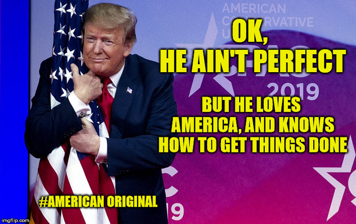 And he works for free! | OK, HE AIN'T PERFECT; BUT HE LOVES AMERICA, AND KNOWS HOW TO GET THINGS DONE; #AMERICAN ORIGINAL | image tagged in donald trump,republicans,good job,regular joe,maga | made w/ Imgflip meme maker