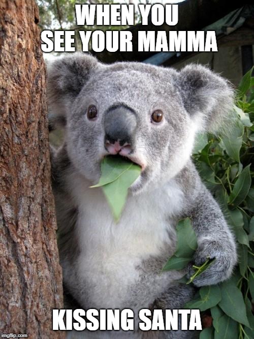 Surprised Koala | WHEN YOU SEE YOUR MAMMA; KISSING SANTA | image tagged in memes,surprised koala | made w/ Imgflip meme maker