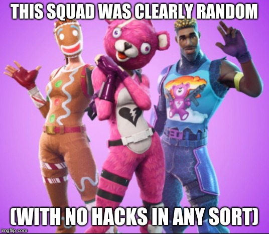 the most random squad | THIS SQUAD WAS CLEARLY RANDOM; (WITH NO HACKS IN ANY SORT) | image tagged in fortnite,memes | made w/ Imgflip meme maker