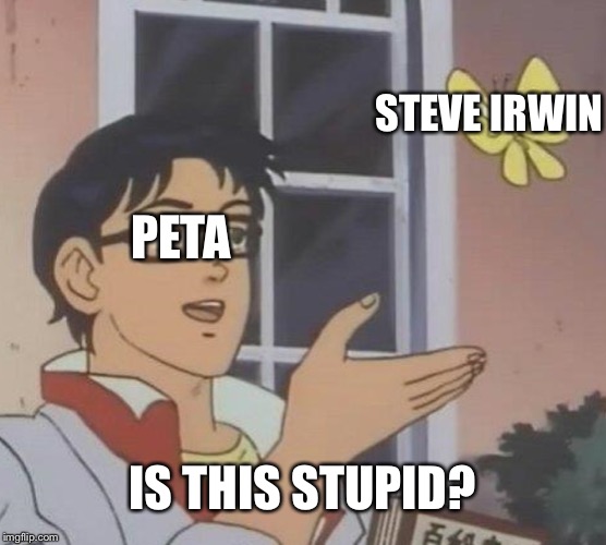 Is This A Pigeon Meme | STEVE IRWIN; PETA; IS THIS STUPID? | image tagged in memes,is this a pigeon | made w/ Imgflip meme maker