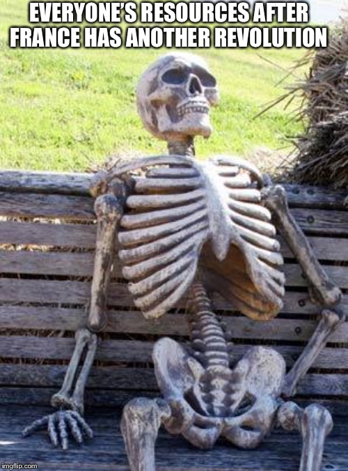 Waiting Skeleton | EVERYONE’S RESOURCES AFTER FRANCE HAS ANOTHER REVOLUTION | image tagged in memes,waiting skeleton | made w/ Imgflip meme maker