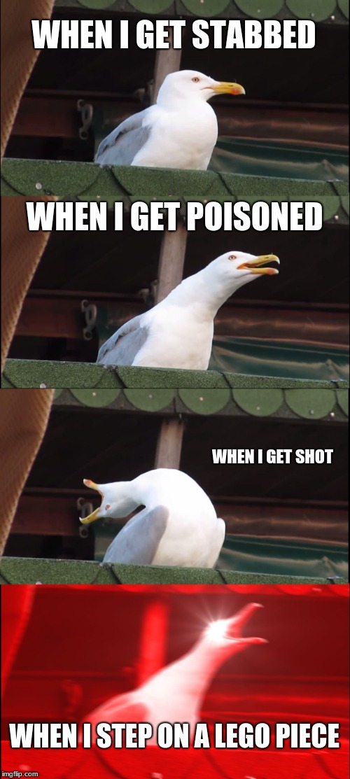 Inhaling Seagull | WHEN I GET STABBED; WHEN I GET POISONED; WHEN I GET SHOT; WHEN I STEP ON A LEGO PIECE | image tagged in memes,inhaling seagull | made w/ Imgflip meme maker