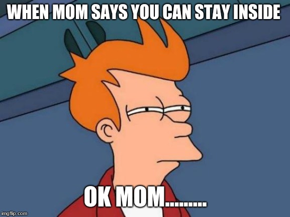 Futurama Fry Meme | WHEN MOM SAYS YOU CAN STAY INSIDE; OK MOM......... | image tagged in memes,futurama fry | made w/ Imgflip meme maker