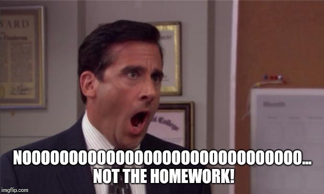 noooooo | NOOOOOOOOOOOOOOOOOOOOOOOOOOOOOO... NOT THE HOMEWORK! | image tagged in noooooo | made w/ Imgflip meme maker