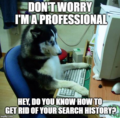 I Have No Idea What I Am Doing Meme | DON'T WORRY I'M A PROFESSIONAL; HEY, DO YOU KNOW HOW TO GET RID OF YOUR SEARCH HISTORY? | image tagged in memes,i have no idea what i am doing | made w/ Imgflip meme maker