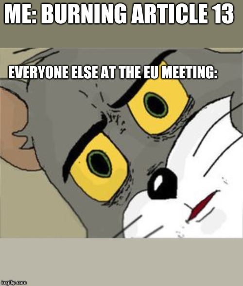 ME: BURNING ARTICLE 13; EVERYONE ELSE AT THE EU MEETING: | image tagged in memes | made w/ Imgflip meme maker