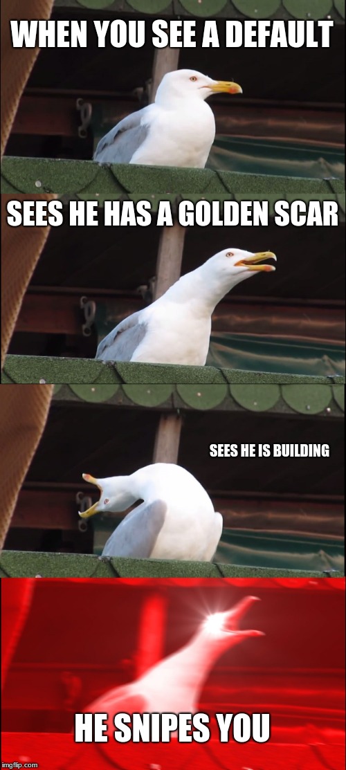 Inhaling Seagull | WHEN YOU SEE A DEFAULT; SEES HE HAS A GOLDEN SCAR; SEES HE IS BUILDING; HE SNIPES YOU | image tagged in memes,inhaling seagull | made w/ Imgflip meme maker