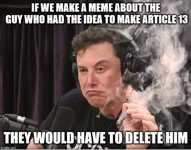 Elon Musk smoking a joint | IF WE MAKE A MEME ABOUT THE GUY WHO HAD THE IDEA TO MAKE ARTICLE 13; THEY WOULD HAVE TO DELETE HIM | image tagged in elon musk smoking a joint | made w/ Imgflip meme maker