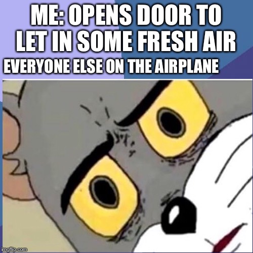 Memes | ME: OPENS DOOR TO LET IN SOME FRESH AIR; EVERYONE ELSE ON THE AIRPLANE | image tagged in funny,memes | made w/ Imgflip meme maker