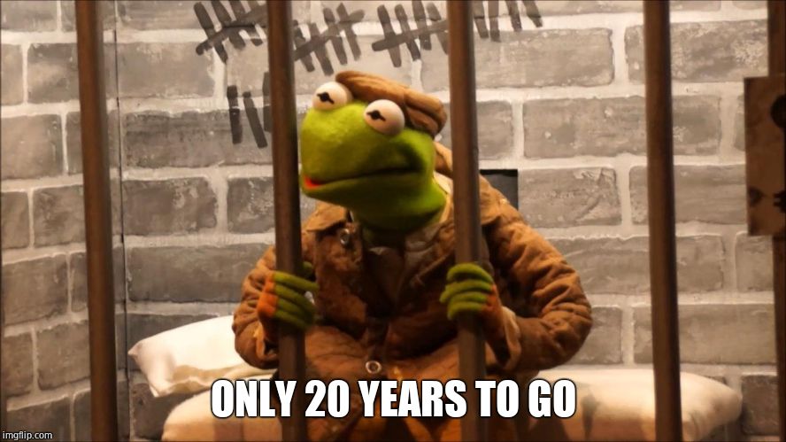 Kermit in jail | ONLY 20 YEARS TO GO | image tagged in kermit in jail | made w/ Imgflip meme maker