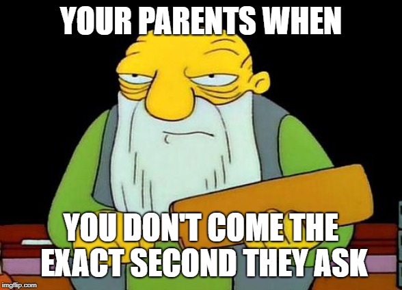 Parents | YOUR PARENTS WHEN; YOU DON'T COME THE EXACT SECOND THEY ASK | image tagged in memes,that's a paddlin',funny,fortnite,fortnite meme,roblox | made w/ Imgflip meme maker