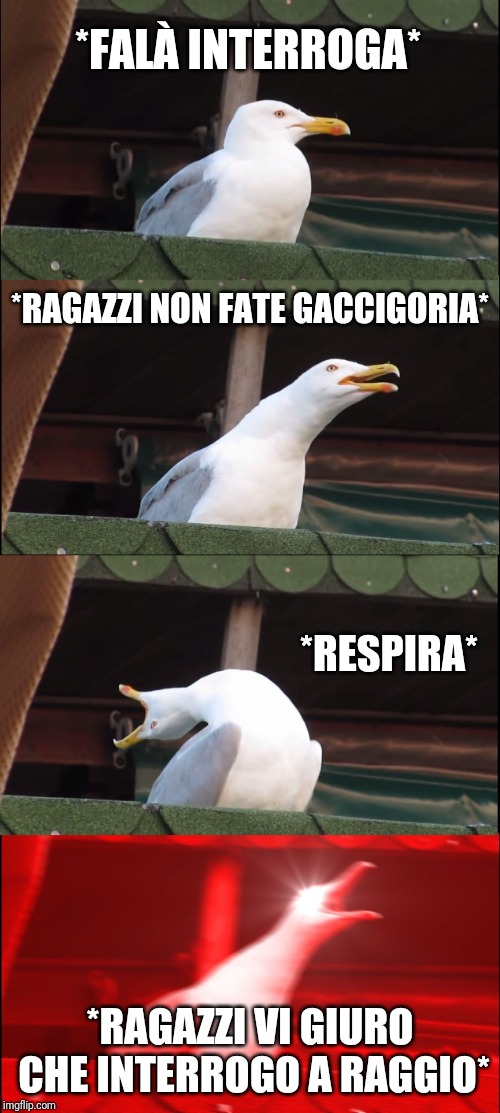 Inhaling Seagull | *FALÀ INTERROGA*; *RAGAZZI NON FATE GACCIGORIA*; *RESPIRA*; *RAGAZZI VI GIURO CHE INTERROGO A RAGGIO* | image tagged in memes,inhaling seagull | made w/ Imgflip meme maker