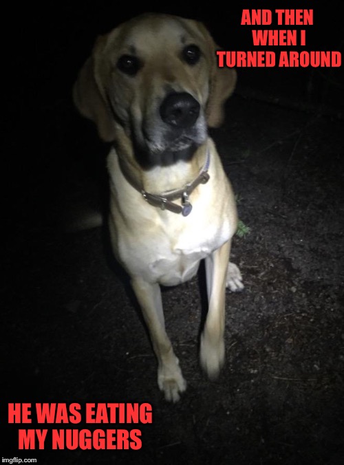 AND THEN WHEN I TURNED AROUND; HE WAS EATING MY NUGGERS | image tagged in horror doggo | made w/ Imgflip meme maker